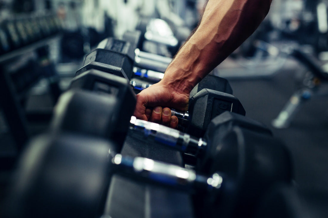 When Is the Best Time to Start a New Training Program
