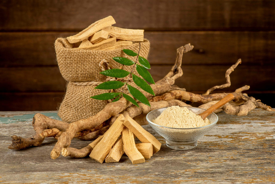 Surprising Benefits of Tongkat Ali