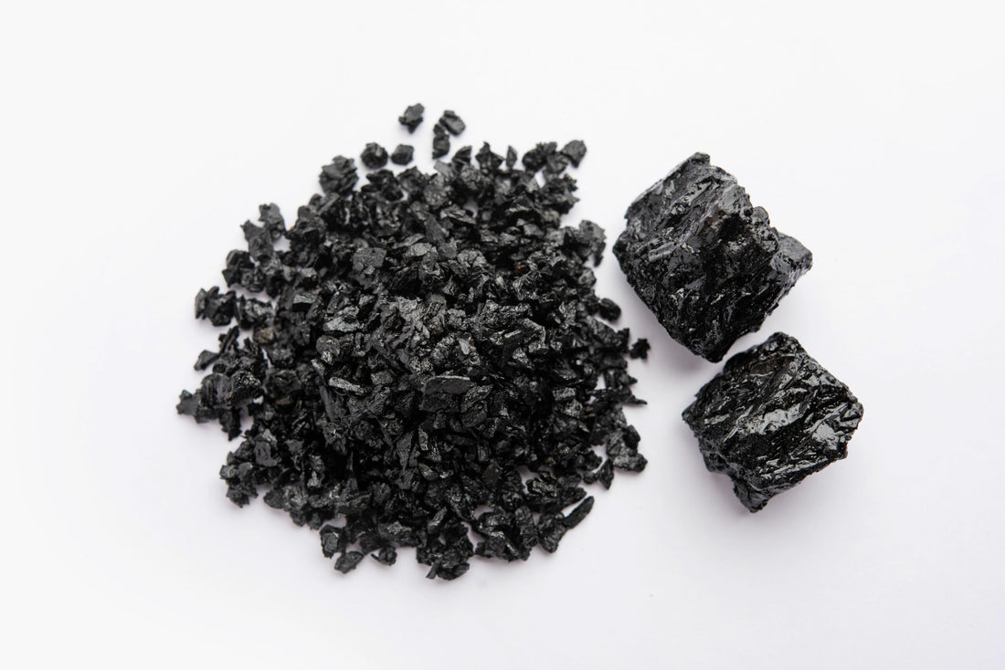 shilajit and cholesterol