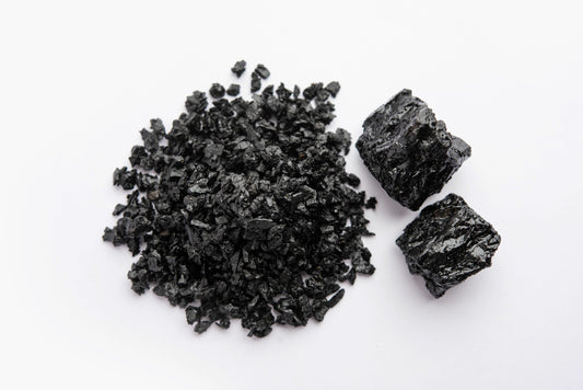 shilajit and cholesterol