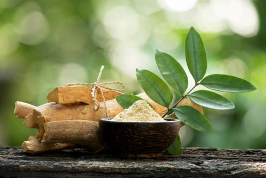 Benefits of Tongkat Ali